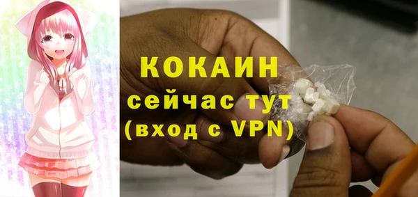 дурь Дмитриев