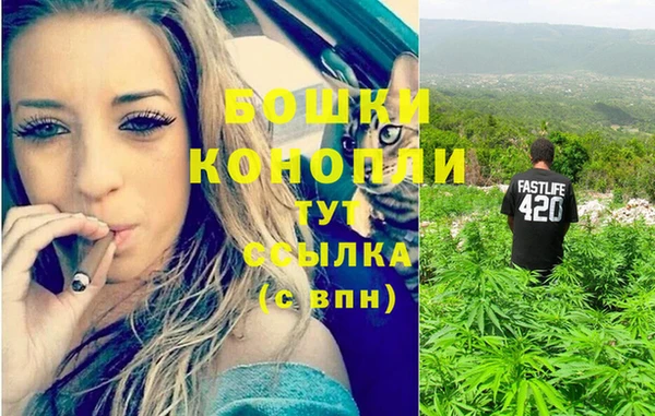 дурь Дмитриев