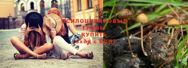 дмт Дмитровск