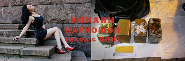 дмт Дмитровск