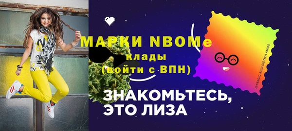 дмт Дмитровск