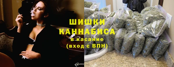 дмт Дмитровск